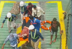 Depresi karena Diperas via Medsos, IRT Nekat Lompat dari Kapal Feri Balikpapan-Penajam