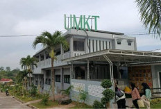 Akreditasi Prodi UMKT Tanah Grogot Naik, Minat Calon Mahasiswa Meningkat 