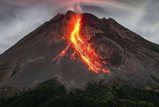 Merapi Kembali Luncurkan Awan Panas BPPTKG Mencatat Awan Panas Meluncur Sejauh 2 Kilometer