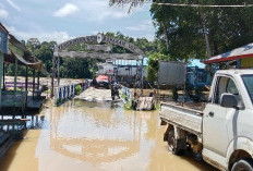 Belajar dari Banjir 2024, Pemkab Mahulu Ajak Masyarakat Bangun Permukiman ke Tempat Lebih Aman