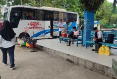 Kendaraan Pribadi Dominasi Mobilitas, Angkutan Umum Darat Kaltim belum Optimal