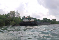 Tongkang Terdampar di Pulau Miang Belum Dievakuasi, Ekosistem Mangrove Ikut Terancam