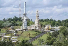 Dorong Perusda Kelola SDA, Bupati Kukar Siap Gandeng Mitra untuk Bisnis Gas Alam