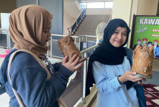 Limbah Sabut Kelapa Olahan UMKM PPU Tembus Pasar Taiwan