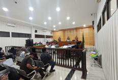  Sidang Kasus IUP Kaltim Dayang Donna Berlanjut, 5 Saksi Dihadirkan Ungkap Status Izin