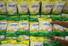 Stok Beras Nasional Capai 5,3 Juta Ton, BULOG Percepat Bantuan Pangan dan SPHP untuk Stabilkan Harga