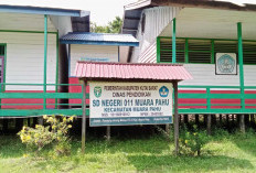 SDN 011 Muara Pahu Kekurangan Guru dan Fasilitas, Proses Belajar Mengajar Tidak Optimal