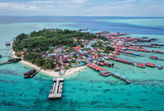 Tak Semua Laut Derawan Bisa Dipakai Wisata, DKP Kaltim Pertegas Batas Zonasi