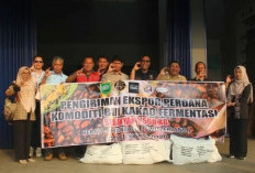 Ekspor 1,5 Ton Cacao Nibs ke Swiss, Berau Dorong Hilirisasi Kakao Premium