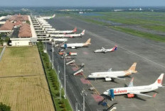 Fuel Surcharge Pesawat Dipangkas Jadi Maksimal 30 Persen, Rata-Rata Harga Avtur Nasional Turun