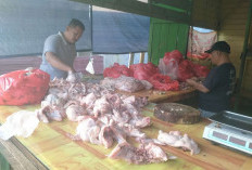 Harga Ayam di Pasar Barong Kutai Barat Tongkok Masih Stabil Jelang Idulfitri