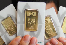 Update Harga Emas Antam Hari Ini: Naik Rp18.000 per Gram, Buy Back Melonjak