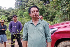 Pembalakan Liar Ulin Menggila, DPRD Kubar: Jangan Hanya Sopir yang Ditangkap