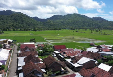 Berbasis Gotong Royong, Desa Manemeng Perkuat Ekosistem Ekonomi Kerakyatan melalui Program Desa BRILiaN