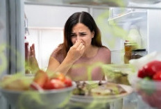 7 Cara Menghilangkan Bau Tak Sedap di Kulkas dengan Bahan Sederhana