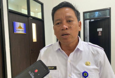 SPMB 2026 di PPU, Disdikpora: Masuk SD Tidak Mensyaratkan Tes Calistung