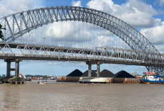 MBS Buka-bukaan soal Bisnis Kapal Tunda di Sungai Mahakam: Modal Terbatas, Kapal Bekas Lebih Cuan