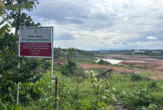 Tragedi Kubangan Maut Balikpapan: 2 Keluarga Korban Menolak Tawaran Damai