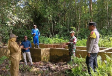 Tiga Sumber Mata Air di Kutim Hilang, Diduga Dampak Perambahan Hutan 