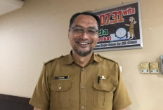 Ikan Kerapu Tembus Pasar Global, Berau Pasok 10 Ton ke Hong Kong Tiap Bulan