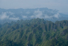 Pemkab Berau Siapkan Daerah sebagai Gerbang Geopark Sangkulirang Mangkalihat