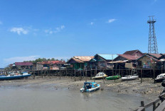 Tanggalkan Kesan Kumuh, Ambisi PPU Sulap Pelabuhan Penajam