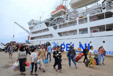 Pelni Layani 652 Ribu Penumpang Selama Lebaran 2026, Lampaui Target 102 Persen