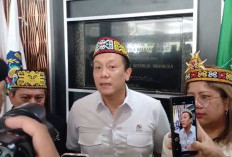 Data Karhutla Tak Sinkron, Wamen LH Soroti Ketidakhadiran Gubernur dan Wakilnya dalam Rakor
