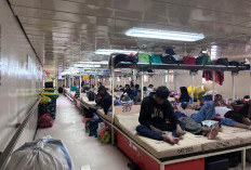 Jelang Libur Nataru, Dishub Kaltim Mulai Siap-Siaga, Salah Satunya Lonjakan Mobilitas Transportasi