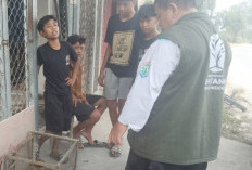 Melapor ke Call Center BKSDA, 4 Bocah di Samarinda Selamatkan Seekor Bekantan