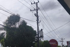 Kabel Semrawut Ganggu Estetika Kota, Wawali Bontang Minta PLN dan Telkom Merapikan