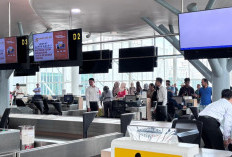 Penumpang Akui Tiket Pesawat Masih Murah Jelang Nataru: Beli Dadakan Masih di Bawah Rp1 Juta