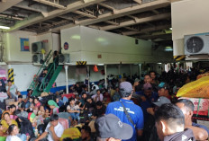 Hari Ini Puncak Arus Mudik Lebaran di Pelabuhan Samarinda