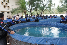 Enam Kampung di Berau Ditargetkan jadi Sentra Budidaya Ikan Sistem Bioflok