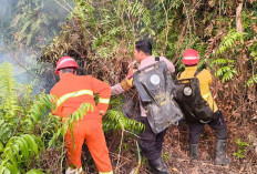 Kebakaran Lahap Lahan Gambut di Singa Geweh, Penyebab Masih Ditelusuri