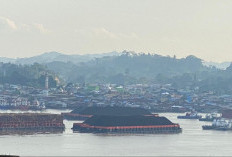 Pemanduan 24 Jam Kurangi Penumpukan Kapal, KSOP Samarinda Bakal Tertibkan Tambatan di Sekitar Jembatan Mahulu