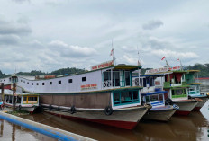 2 Pekan Tak Berlayar karena BBM Langka, Nakhoda Kapal Rute Mahulu dan Kubar: Dulu tak Pernah Begini
