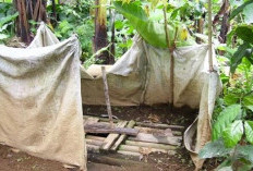Hari Toilet Sedunia (Bagian 2): Langkah yang Harus Dilakukan Agar Kaltim Naik Kelas