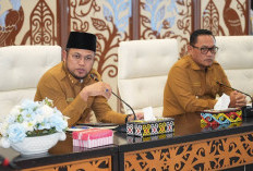 Kejar PAD Kaltim, Rudy Mas’ud Tegaskan Kendaraan Perusahaan Wajib Pelat KT