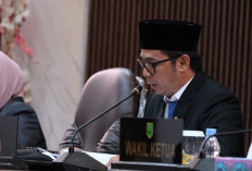 Realisasi Anggaran Sejumlah OPD Rendah, Dedy Okto: Harus Jadi Alarm Serius