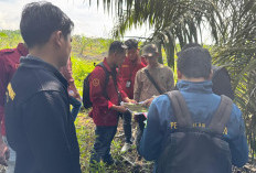 Pembuktian di Lapangan Dimulai, Sengketa Lahan Warga dan PT KIN Belum Usai 