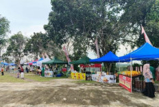 Ribuan UMKM di Paser Belum Mengantongi Izin, DPMPTSP Ungkap Kendalanya