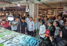 Cold Storage Dinilai sebagai Solusi Jangka Panjang Stabilkan Harga Ikan di Bontang
