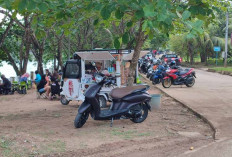 PMII  Samarinda Dorong Penataan Polder Air Hitam Jadi Kawasan Wisata dan Sentra UMKM.