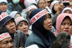 Disdik Berau Pastikan Guru Honorer Tetap Aman, 389 Non-ASN Dilindungi SK Khusus 