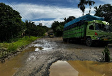 Kerusakan Jalan Nasional di Kubar Sebabkan Truk Fuso Terperosok ke Lubang Sedalam 60 Sentimeter