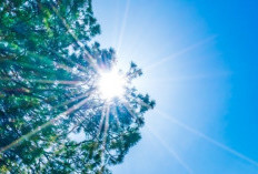Ramalan Cuaca Kaltim dan IKN, 20 Agustus 2026, Suhu Udara Capai 33 Derajat Celcius!