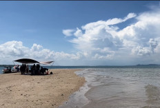 Pemkab PPU Incar Dana Swasta untuk Konservasi Pulau Gusung