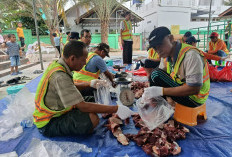 Penyakit Cacing Hati Ditemukan di Beberapa Hewan Kurban di Bontang