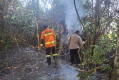 BPBD Kukar Ingatkan Ancaman Karhutla, Muara Kaman Jadi Wilayah Paling Rawan